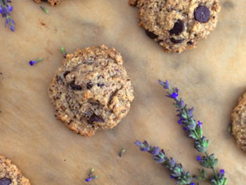 Grain Free Hazelnut Chocolate Chip Cookies (Grain Free, Dairy Free, Egg Free, Refined Sugar Free)