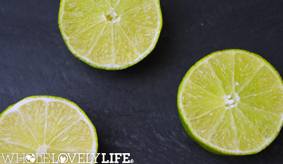 Instant-Mango-Lime-Sorbet2