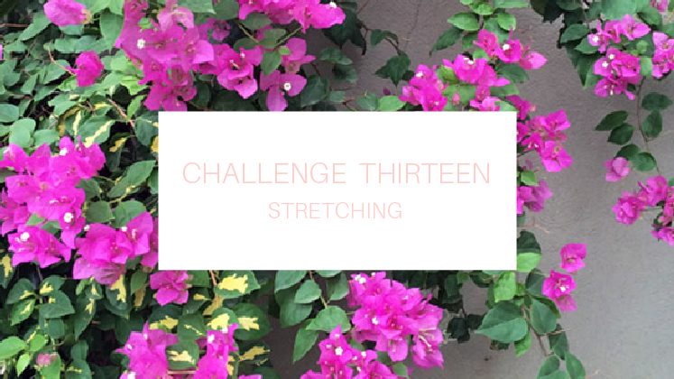 Healthy Storylines Challenge Thirteen (Stretching)